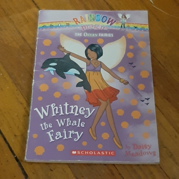 Lot of 22 Rainbow Magic Fairy Books - Picture 8 of 16